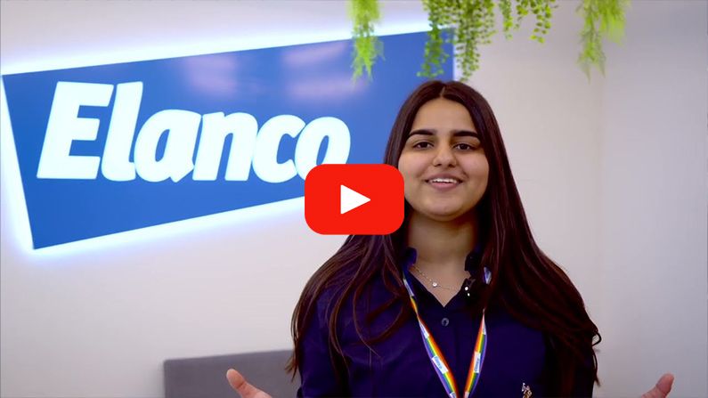 Play Video - Student Placement (Computer Science)