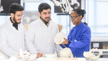 Three medical students studying osteology.